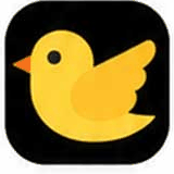 黄鸟VPN